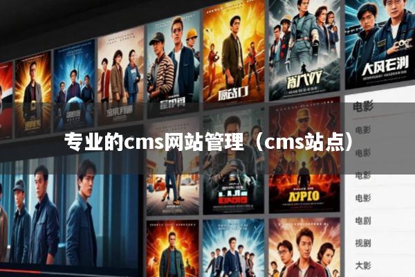 专业的cms网站管理(cms站点)