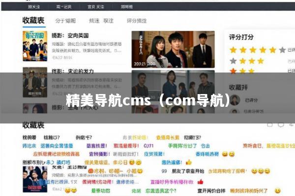精美导航cms(com导航)