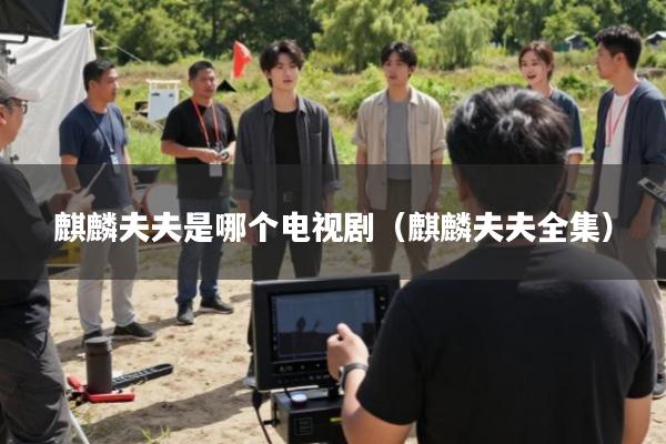 麒麟夫夫是哪个电视剧(麒麟夫夫全集)