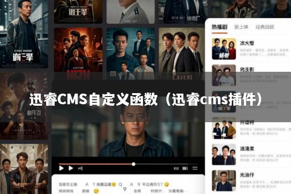 迅睿CMS自定义函数(迅睿cms插件)